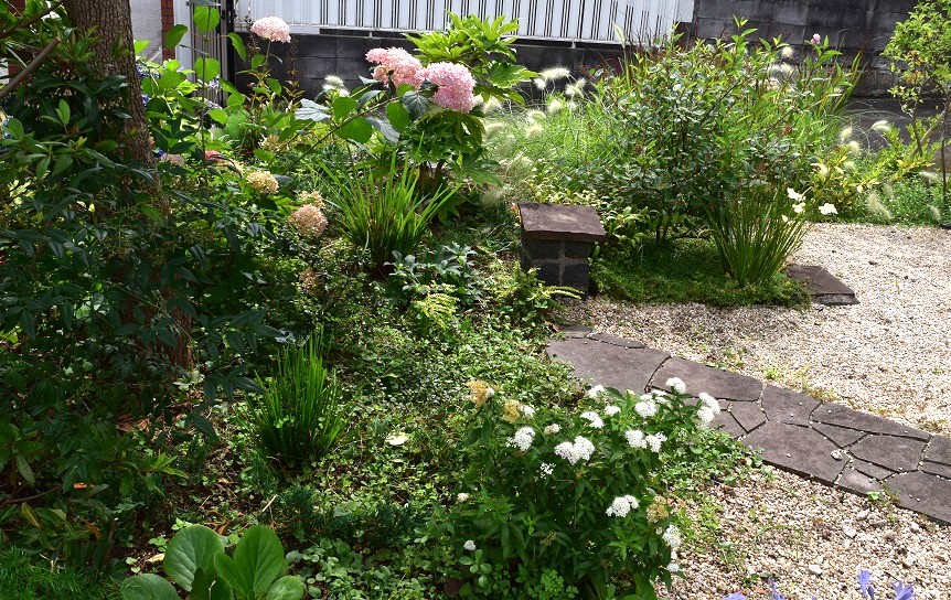 造園工事・植栽/茅ヶ崎市/ 季節の移ろいを感じる庭へ