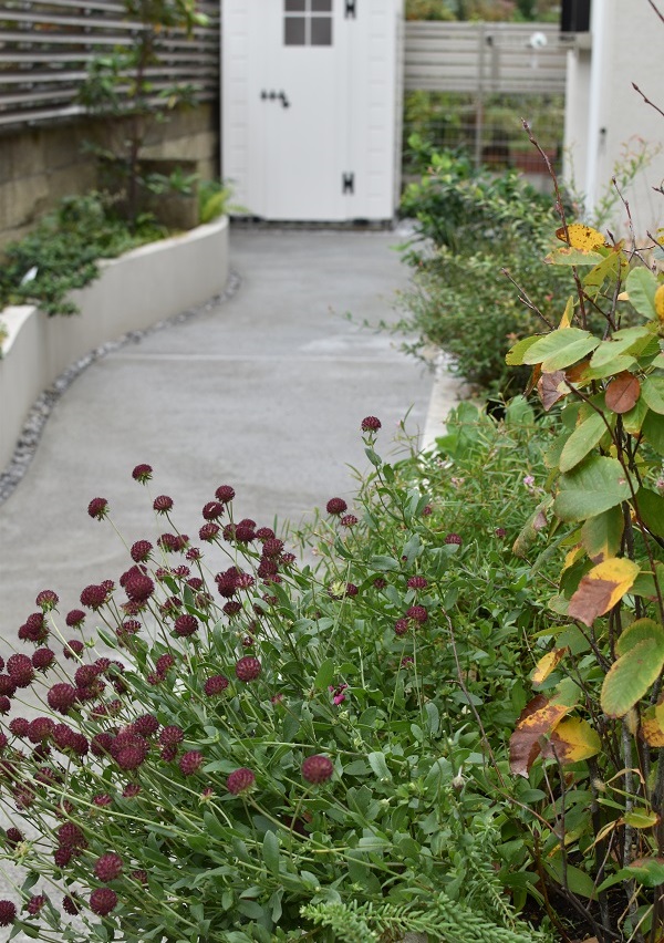 造園工事・植栽/川崎市/ 曲線花壇の優しい空間