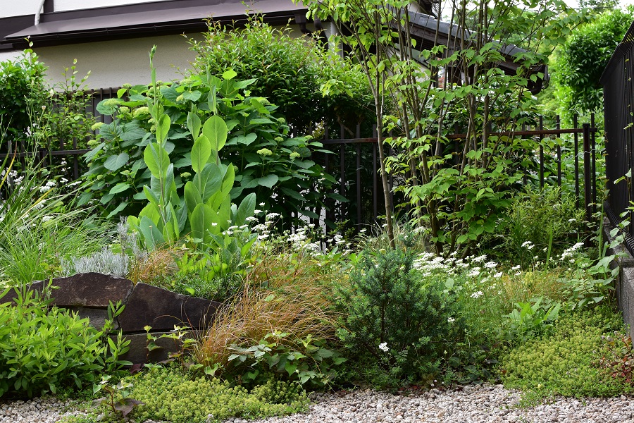 造園工事・植栽/横浜市/ 植栽で雑草を抑えて美しい景色の庭へ